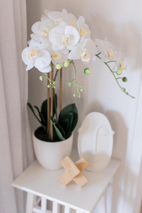 Studio 26: Central, Hampton'S Poolside Hideaway Coffs Harbour Buitenkant foto